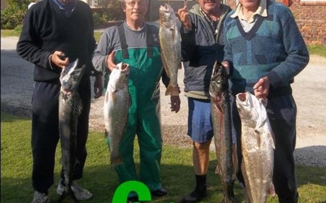 Dít is wat boothengel vir jou moontlik maak. Hier is ‘n voorbeeld van die verskillende spesies wat op een dag gevang is. Vlnr Albert Potgieter, Steve Serbon, Eddie Bester en  Jannie Roux.