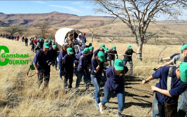 Die Wes-Kaapse Voortrekkers het gou agtergekom dat afdraend met ‘n ossewa veel moeiliker is as opdraend.  Die ‘Groot Trek’ vorm deel van die Voortrekkerbeweging se 85ste bestaansjaar.