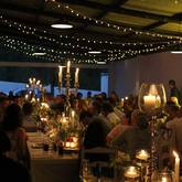 Groom making his speech