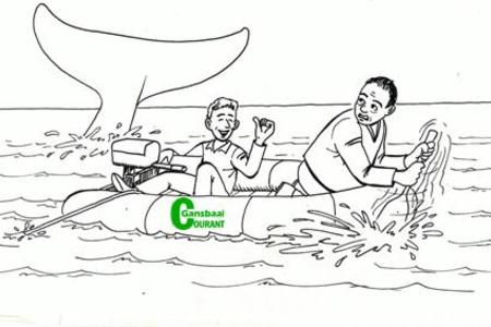 ‘n Ontmoeting met ‘n walvis is natuurlik ‘n ander storie….!!  