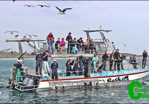 SA Blue Flag status for Marine’s three vessels