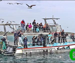 SA Blue Flag status for Marine’s three vessels