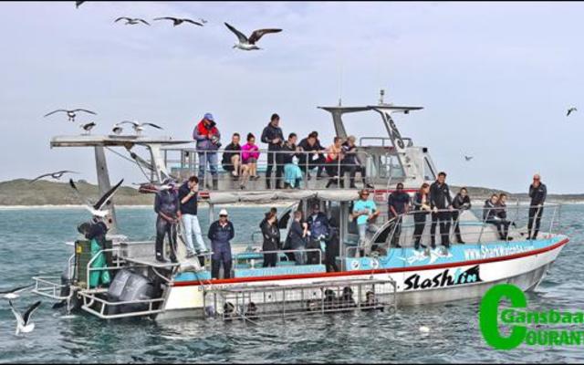 The shark cage diving vessel, Slashfin, owned by Marine Dynamics.  