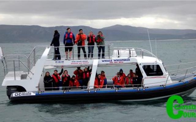 The whale watching vessel, Whale Whisperer, owned by Dyer Island Cruises. 