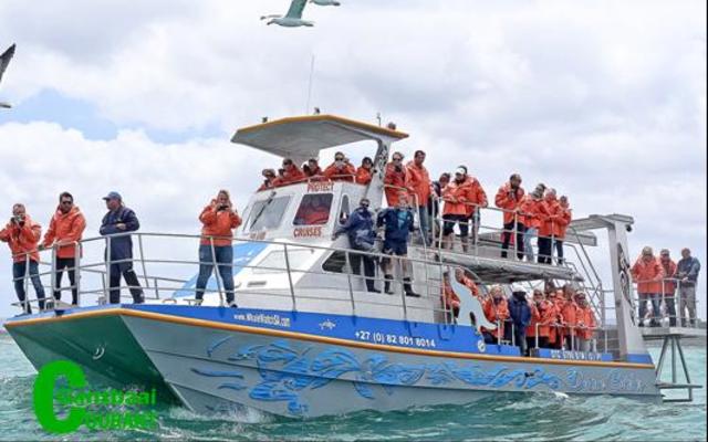 The whale watching vessel, Dream Catcher, owned by Dyer Island Cruises.