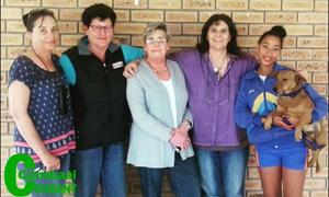 Hondehanteerder - hier’s jou kans