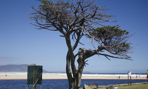 History Facts about Kleinmond