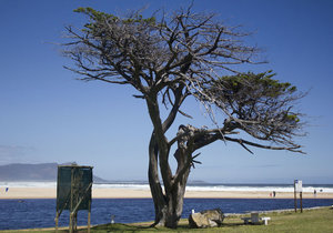 History Facts about Kleinmond