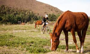 10 Things to Do in Greyton this Summer