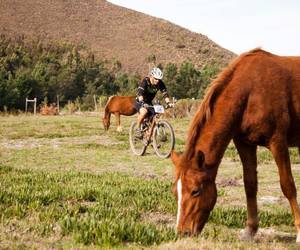 10 Things to Do in Greyton this Summer