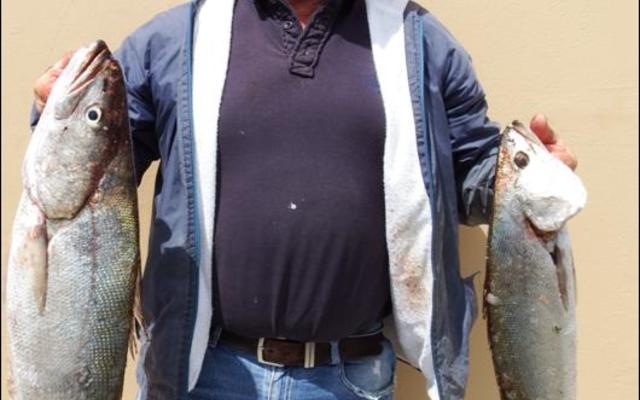 Gavin Engelbrecht met sy grootste vis vir 2016, ‘n geelbek van 5.7kg  