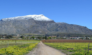 Venture a Visit to Villiersdorp this Summer