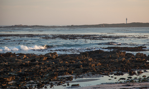 History Facts about Pringle Bay & Rooi Els