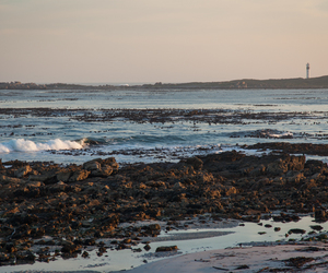 History Facts about Pringle Bay & Rooi Els