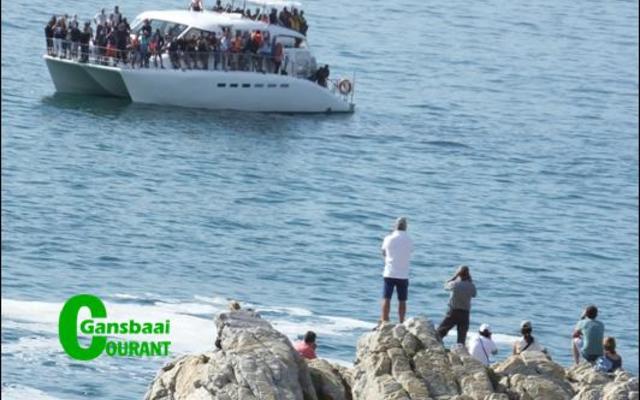 “Die bote kom so na aan die kant, dat jy dit met ‘n kettie kan raakskiet van die rotse af”, het ‘n bekommerde inwoner die Gansbaai Courant laat weet. Foto F de Jongh