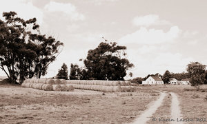 History Facts about Stanford