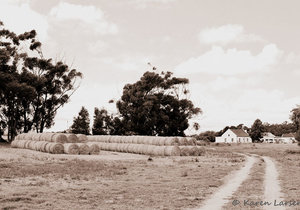 History Facts about Stanford