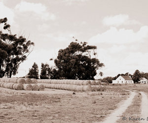 History Facts about Stanford