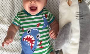 Stock up on Sharky Christmas Gifts at Shark Diving Unlimited