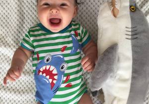 Stock up on Sharky Christmas Gifts at Shark Diving Unlimited