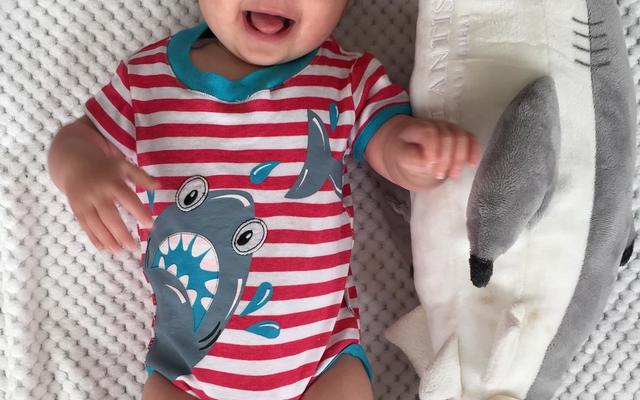 Christmas sharky baby suit at Shark Diving Unlimited