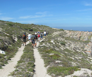 Coastal/Beach Clean-up Saturday - 10 December