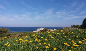 Kleinmond through the eyes of Locals