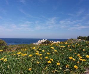 Kleinmond through the eyes of Locals