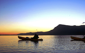 A day at Mosaic: Birding + Kayaking + Picnic