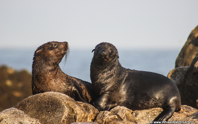 20150522_WW_Trip_OKeller_IMG_068 20150522_WW_Trip_OKeller_IMG_068