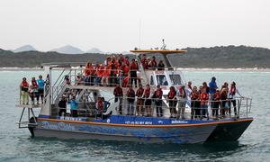 Discover the Marine Big 5