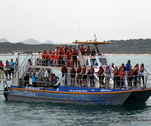 Discover the Marine Big 5