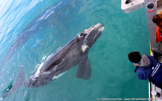 20150920_WW_Trip1_SHoerbst_IMG_00141