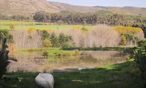 A Closer Look at Botrivier - Photo Journey