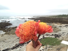 There's lots to do in Gansbaai!