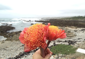 There's lots to do in Gansbaai!