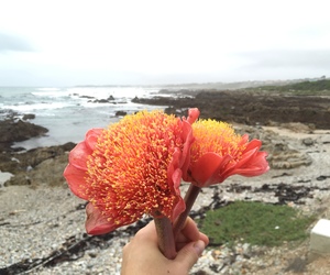 There's lots to do in Gansbaai!