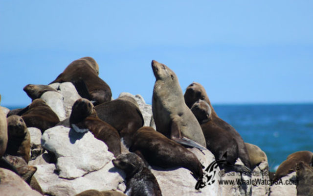 20170114_DC_Trip1_SHoerbst_IMG_26_580x387