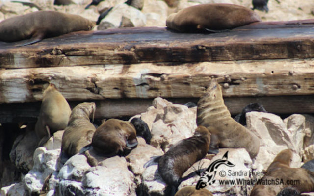 20170115_DC_Trip1_SHoerbst_IMG_66_580x387