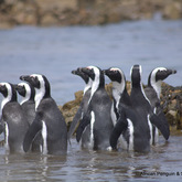 Releasing Hope For The Future, 30 December 2016