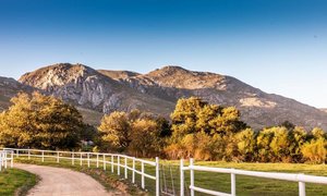 Stanford through the eyes of Locals