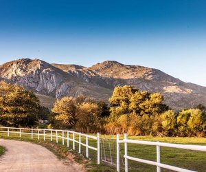 Stanford through the eyes of Locals