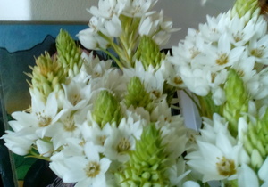 Epifanie: Fees van lig en sien en openbaar en raaksien