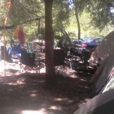 Nice Shady Campsites