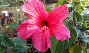 Napier through the eyes of Locals