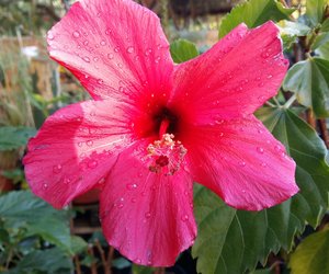 Napier through the eyes of Locals