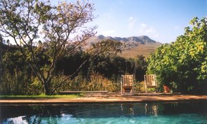 Grabouw & Elgin Valley through the eyes of Locals
