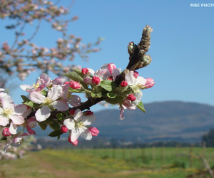 Villiersdorp through the eyes of Locals