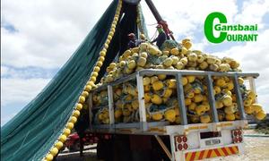 Vroeër visnet ‘boet’ dui rustyd aan