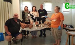 Noodhulp vir troeteldiere